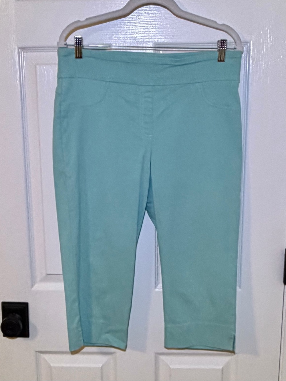 Ruby Rd. Mint Aqua Green Cropped Pull-On Capris / Long Walking Shorts. 12